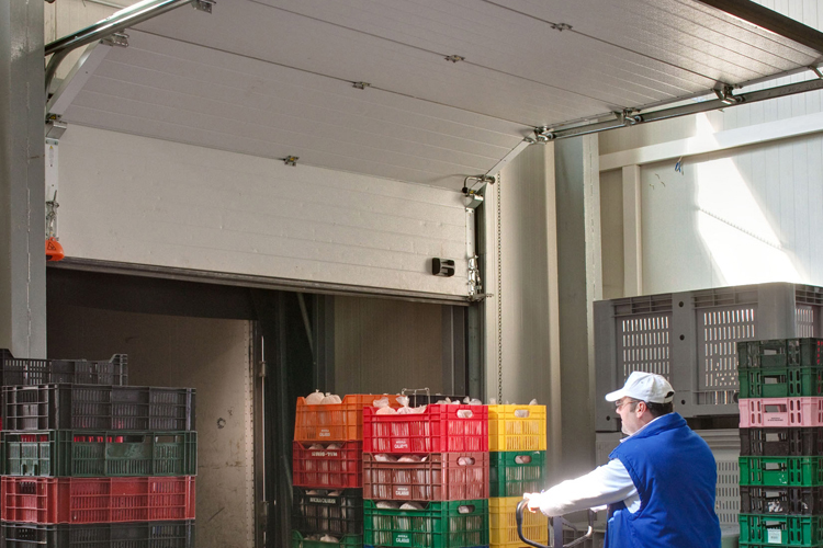 Industriële sectionale garagepoorten  0029